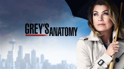 Is grey's anatomy on netflix. Things To Know About Is grey's anatomy on netflix. 